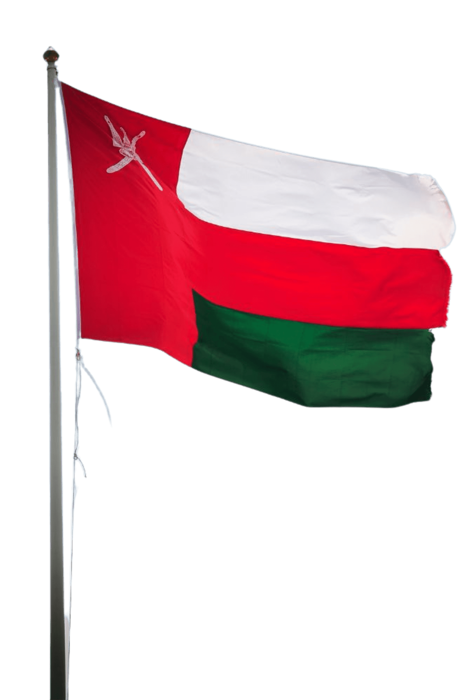 Home Oman Flag